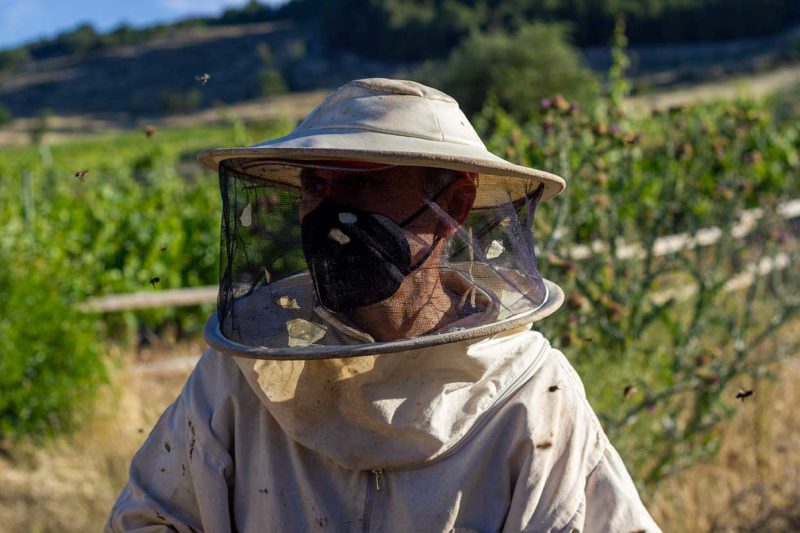 apicultor abejas