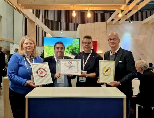 Mejor restaurante de vino 2026 para la FIJEV