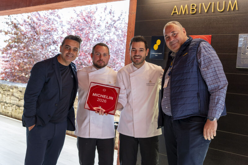 Placa Michelin