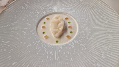 nuevo plato